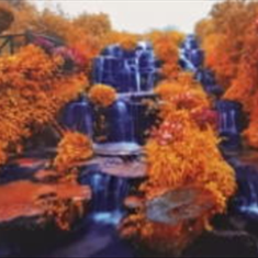 پرده-تصویری-ND-1934