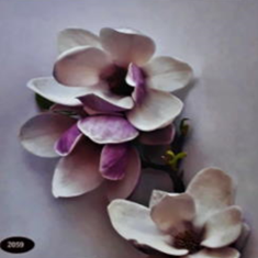 پرده-تصویری-ND-2059