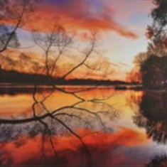 پرده-تصویری-ND-898