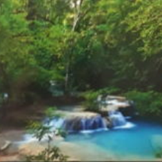 پرده-تصویری-ND-1932