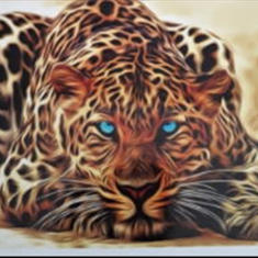 پرده-تصویری-ND-2146