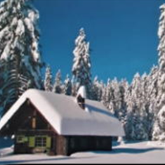 پرده-تصویری-ND-464