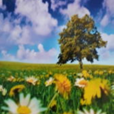 پرده-تصویری-ND-2022