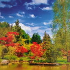 پرده-تصویری-ND-2015