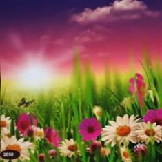 پرده-تصویری-ND-2050