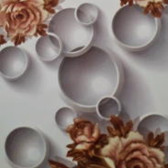 پرده-تصویریسه-بعدی-ND-1868