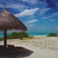 پرده-تصویری-ND-1976