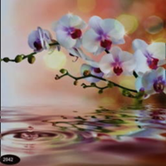 پرده-تصویری-ND-2042