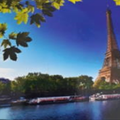 پرده-تصویری-ND-2163