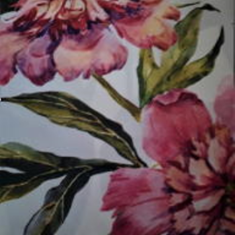 پرده-راشل-YP-44632