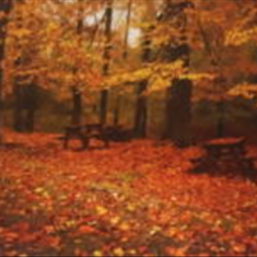 پرده-تصویری-ND-1905