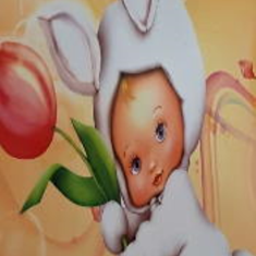 پرده-تصویری-ND-2248