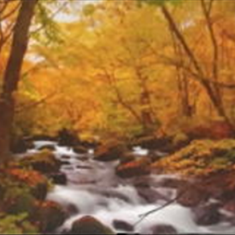 پرده-تصویری-ND-1917