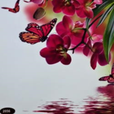 پرده-تصویری-ND-2056