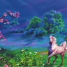 پرده-تصویری-ND-2068