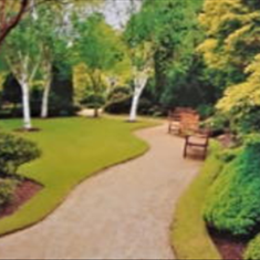 پرده-تصویری-ND-122