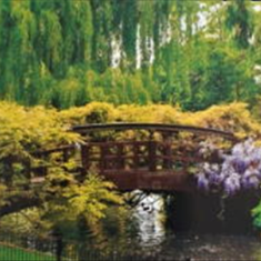 پرده-تصویری-ND-124