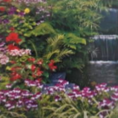 پرده-تصویری-ND-466