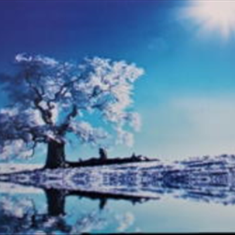 پرده-تصویری-ND-113