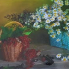 پرده-تصویری-ND-2110