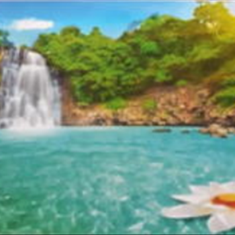 پرده-تصویری-ND-1904