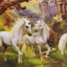 پرده-تصویری-ND-2149