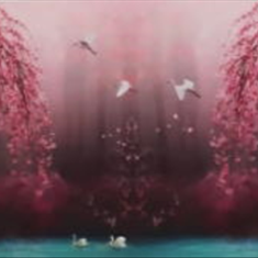 پرده-تصویری-ND-1928