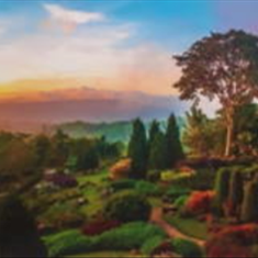 پرده-تصویری-ND-1921