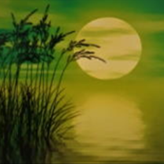 پرده-تصویری-ND-483