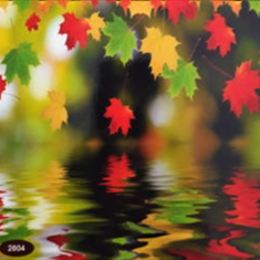 پرده-تصویری-ND-2004