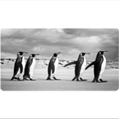 رادیاتور-شیشه-ای-آترین-کوچک-افقی