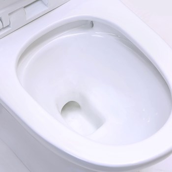 توالت-فرنگی-گلسار-مدل-لیونا-آکس-20