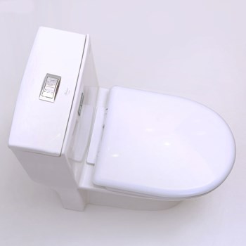 توالت-فرنگی-گلسار-مدل-لیونا-آکس-20