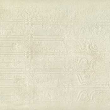 فسیل-استراکچر-استخوانی-100-50