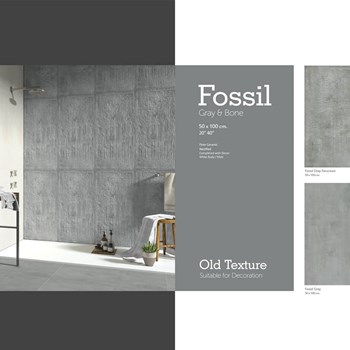 فسیل-استخوانی-100-50