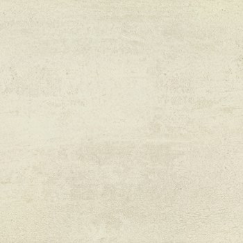 فسیل-استخوانی-100-50