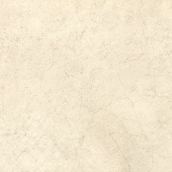 سالویا-کرم-90-30