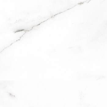 باراکا-سفید-100-33