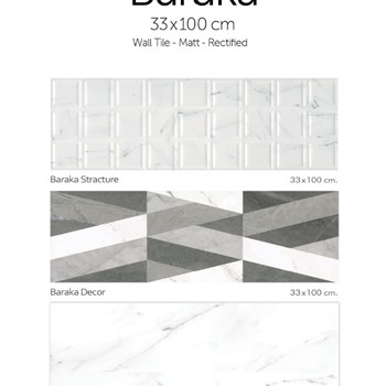 باراکا-استراکچر100-33