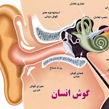 سمعکدیجیتال