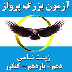 مجموعه-علمی-فرهنگی-آموزشگاه-فانوس