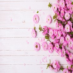 پوستر-دیواری-سه-بعدی-طرح-گل-زیبا-کد-175