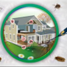 سمپاشی-و-ضد-عفونی-کردن