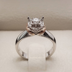 محصولات-جدید