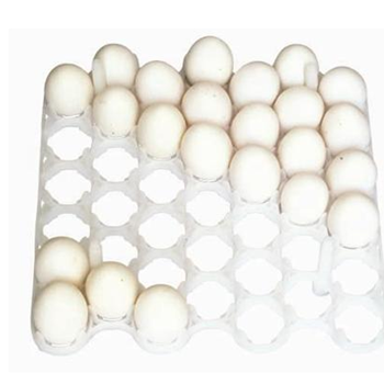 شانه-تخم-مرغ-42-عددی-دستگاه-جوجه-کشی