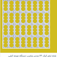 شانه-تخم-کبک-64-عددی-و-قرقاول-مناسب-دستگاه-جوجه-کشی-شانه-تخم-قرقاول