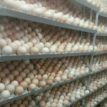 شانه-تخم-مرغ-42-عددی-دستگاه-جوجه-کشی