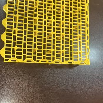 اسلتکف-پوشمرغ-پالت-کف-پوش-مخصوص-جوجه-سایز-40-40