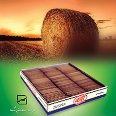 بیسکوییت-کیلویی-خوشه-جمانهکاکائو