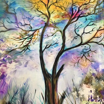 چادر-رنگی-سه-بعدی-ساتن-ابریشم